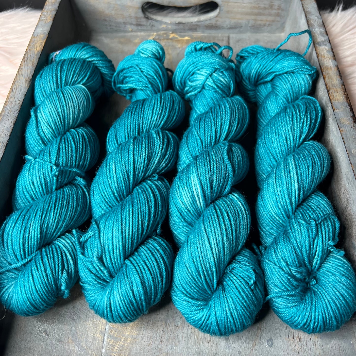 Trevor Morgan DK - Teal Me About It