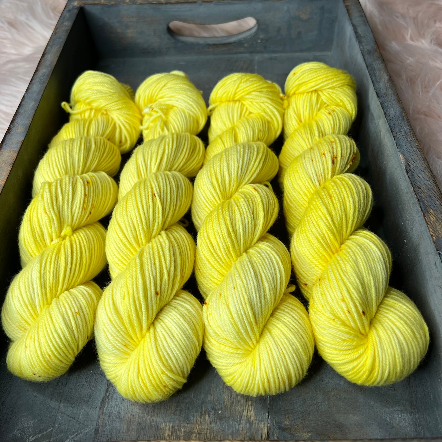 Trevor Morgan DK - Don't Eat The Yellow Snow