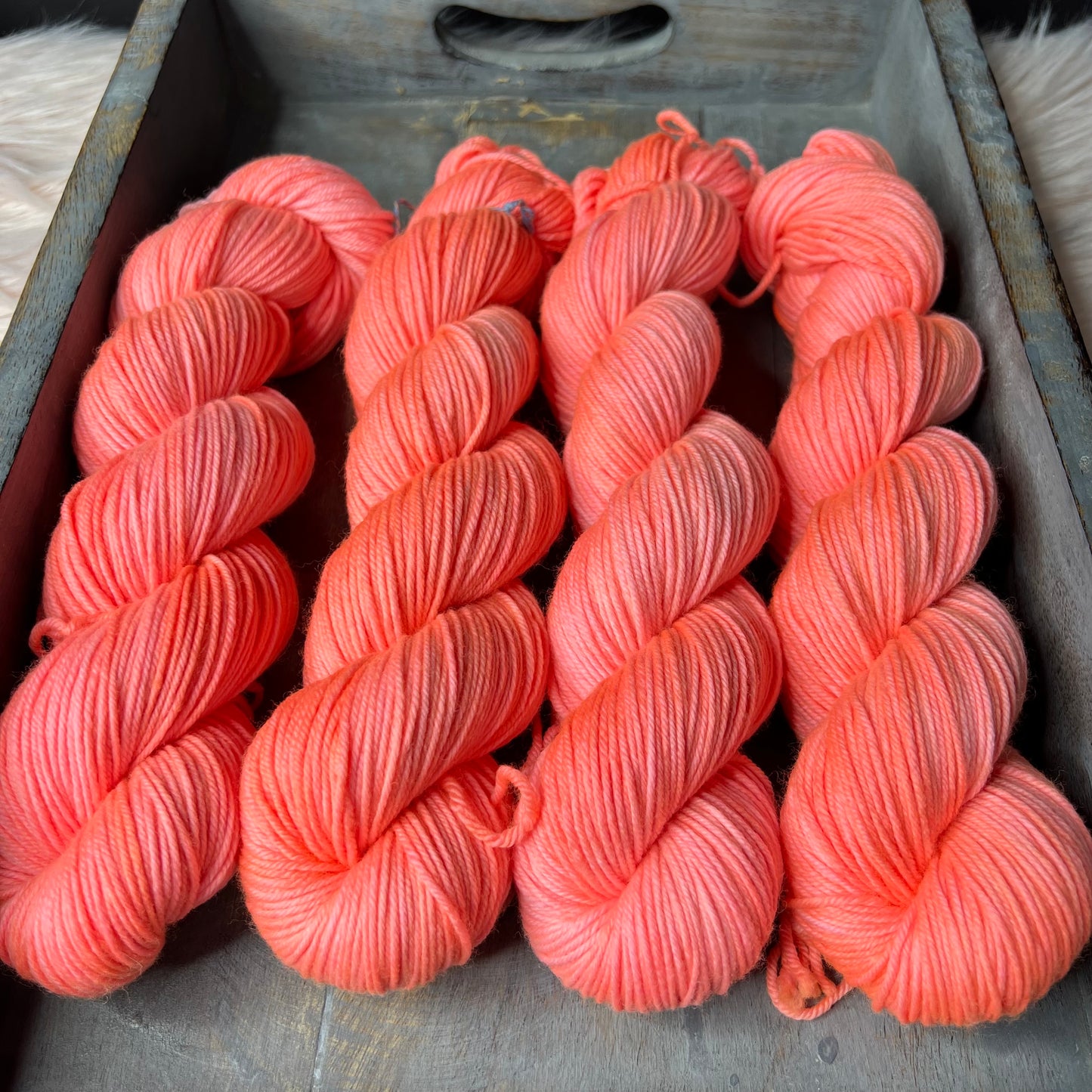 Trevor Morgan DK - Pink Mimoas