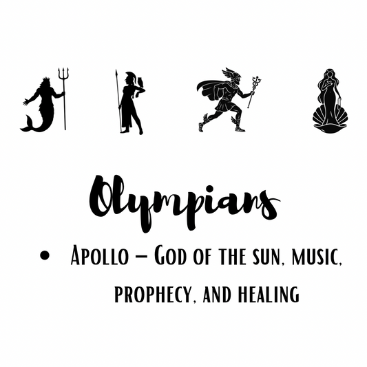 *NEW* Jimmy Sock- 12 Olympians Apollo