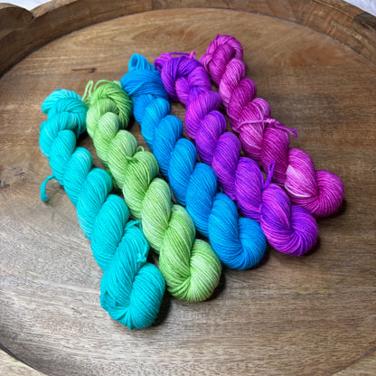 Jimmy Sock 5-20g skein set- Electric Garden