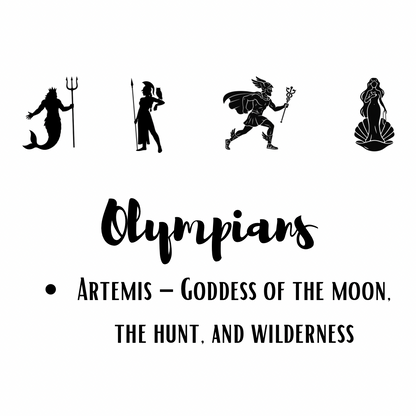 *NEW* Jimmy Sock- 12 Olympians ARTEMIS