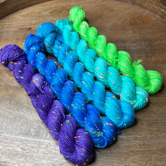 Betsy Neon Tweed Sock 5-20g skein set- Deep Sea Disco