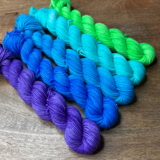 Jimmy Sock 5-20g skein set- Deep Sea Disco