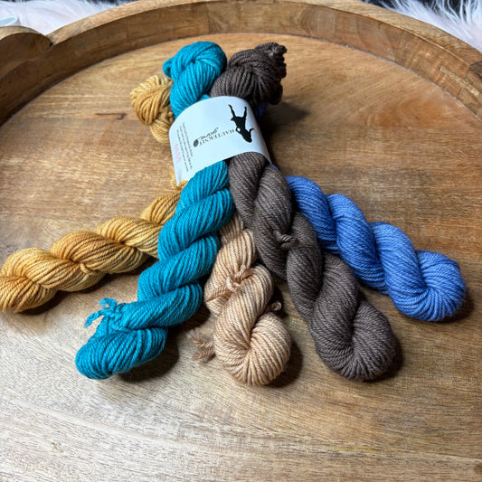 DK With Nylon 5-20g skein set- Enchanted Forest Noelle