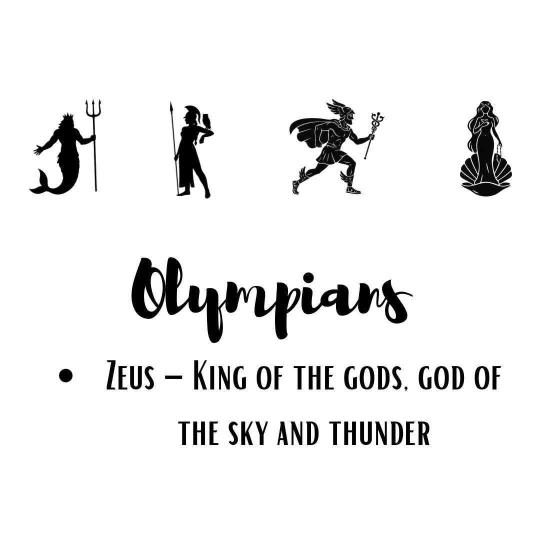 *NEW* Jimmy Sock- 12 Olympians Zeus