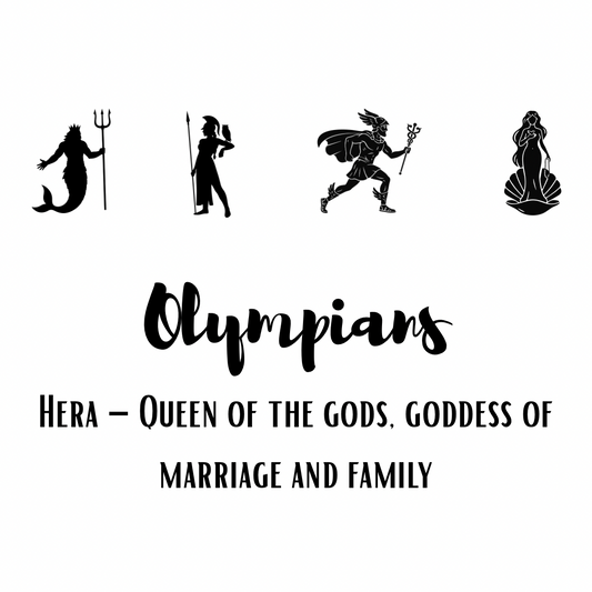 *NEW* Jimmy Sock- 12 Olympians Hera